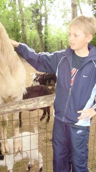 2011 05 02 Vadaspark 144.jpg